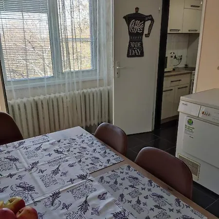 Apartment Park View