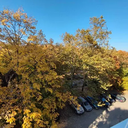 Apartment Park View